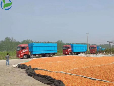 點(diǎn)擊查看詳細(xì)信息<br>標(biāo)題：云南ao一體化污水處理設(shè)備 閱讀次數(shù)：3164